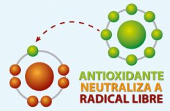 radical oxidante