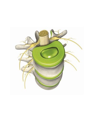 Vertebene Pack 3 cajas
