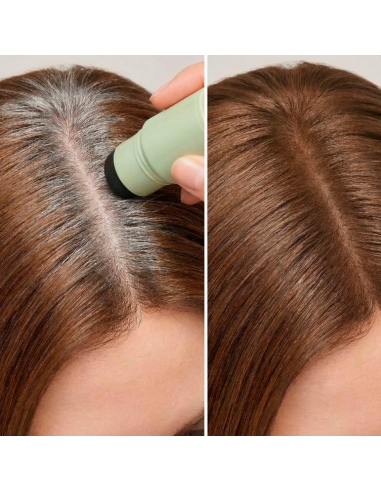 ROOT COVER CASTAÑO
