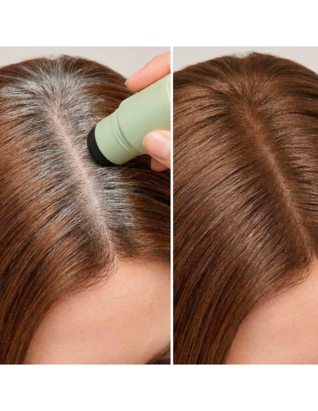 ROOT COVER CASTAÑO