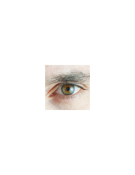 Ocular